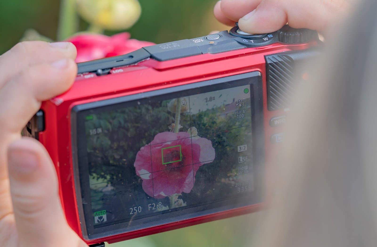 A photograph taken over the shoulder of a child taking a photo with a red camera