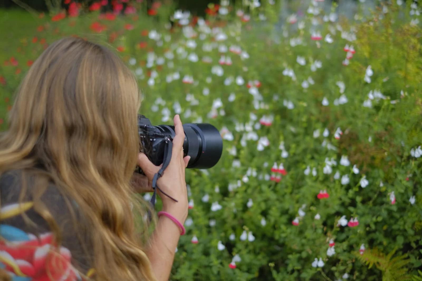 An image of a female photographer photographing some flowers