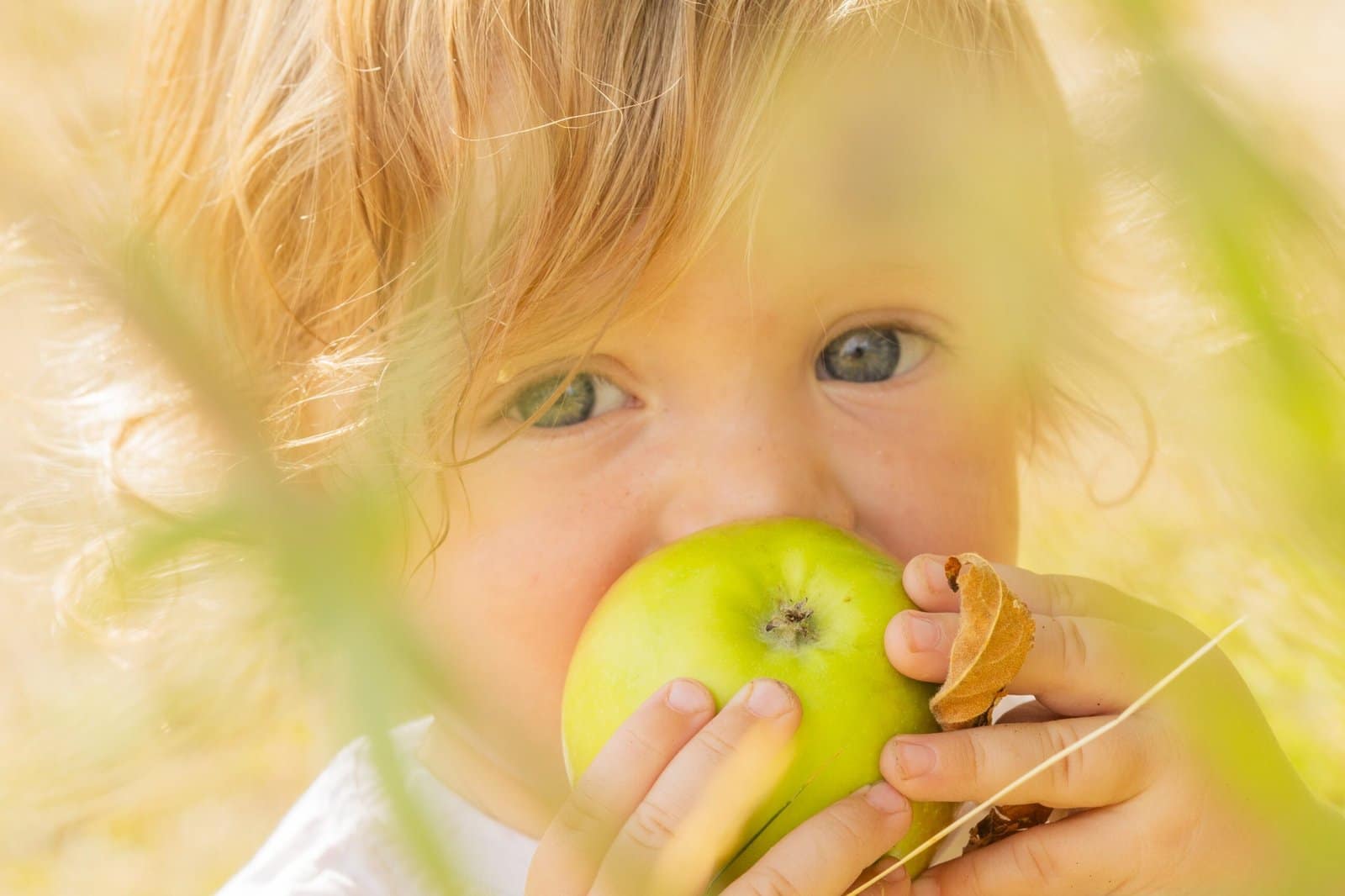 A young boy eating an apple