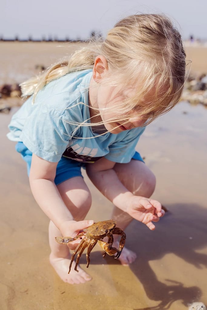 A young boy crouched in the sand holding a crab, in family photography portfolio