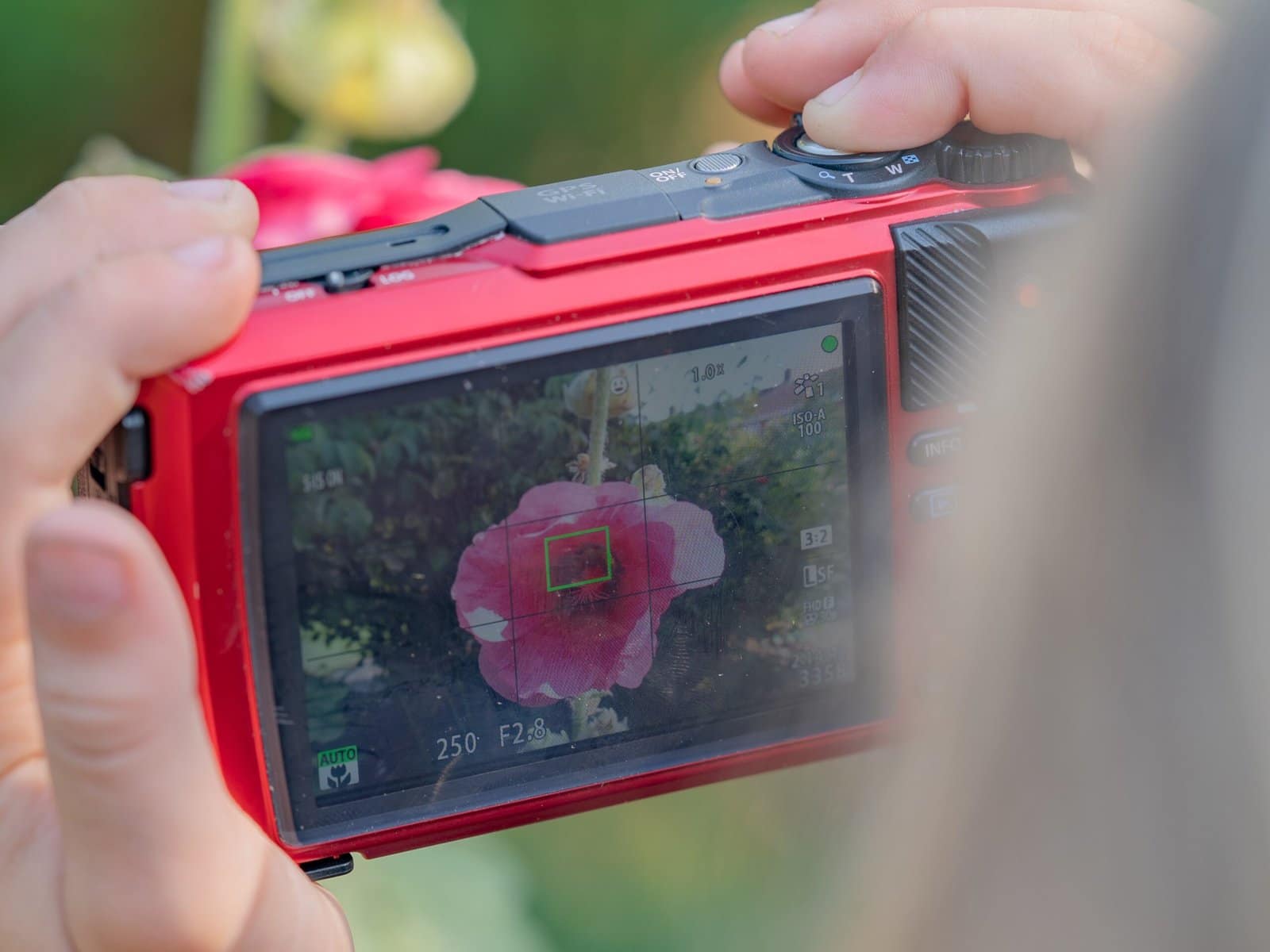A photograph taken over the shoulder of a child taking a photo with a red camera